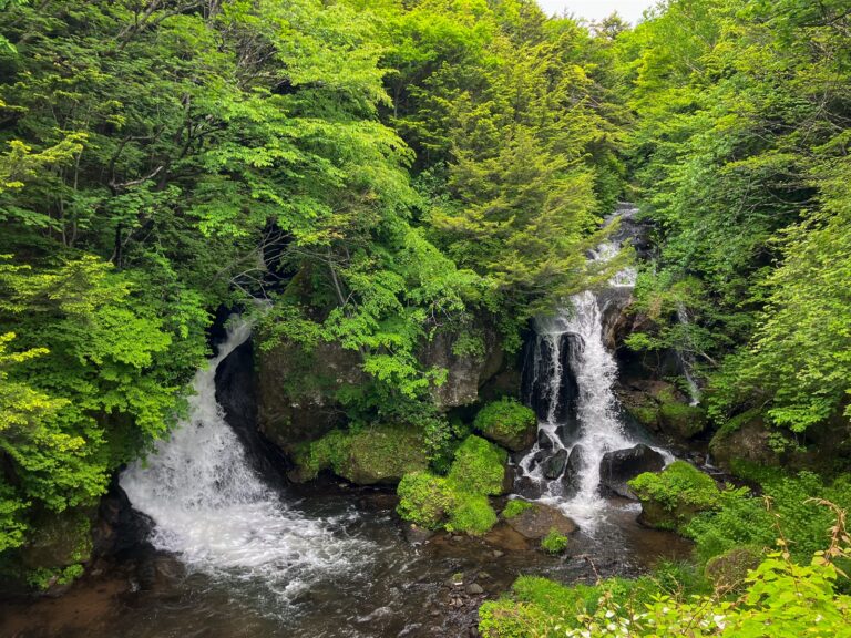 奥日光・竜頭の滝（りゅうずのたき）｜なぜ「竜の頭」? 滝沿いを歩いて楽しむ、中禅寺湖へそそぐ渓流瀑を地元カヤックガイドが解説