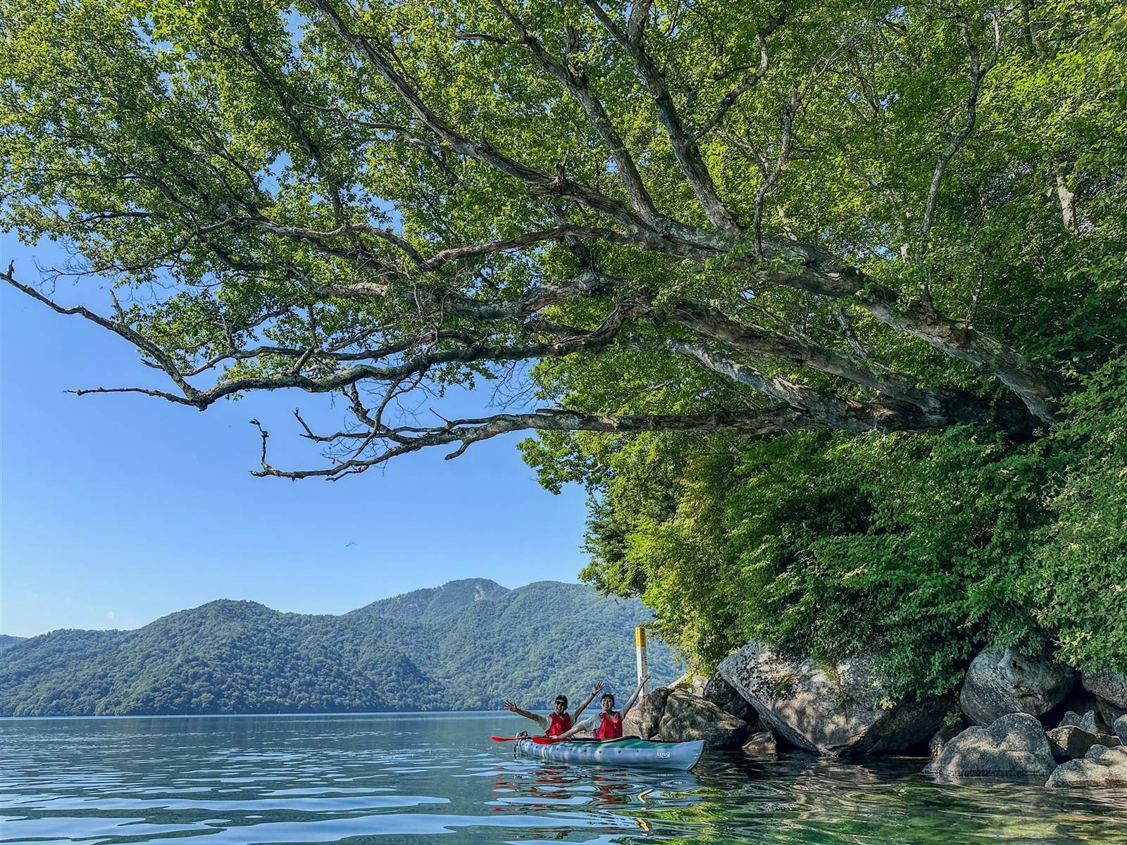 中禅寺湖の奥の入り江で、岸辺の大木の下をタンデムカヤックで進む参加者